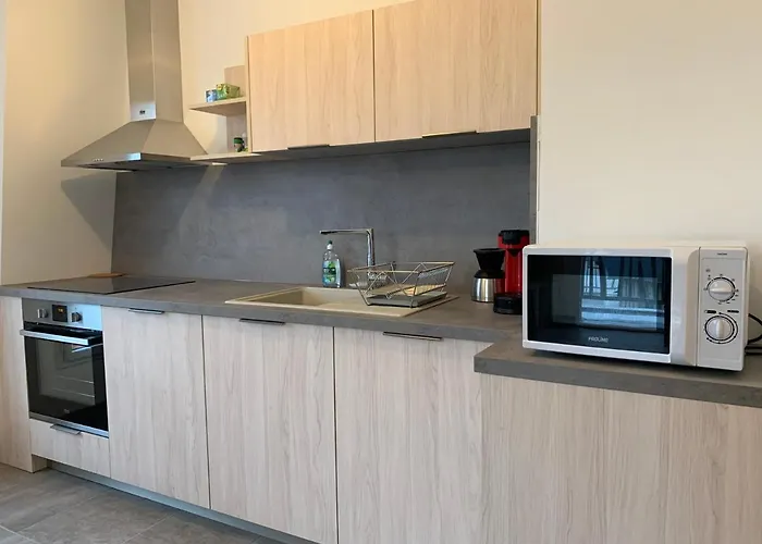 Le Coquillage - Parking Prive - شقة دوفييل